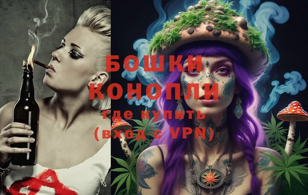 PSILOCYBIN Белокуриха