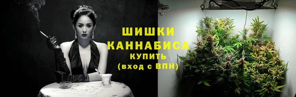 PSILOCYBIN Белокуриха