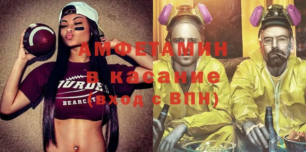 PSILOCYBIN Белокуриха
