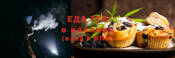 PSILOCYBIN Белокуриха