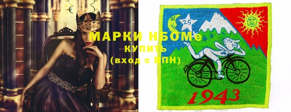 PSILOCYBIN Белокуриха