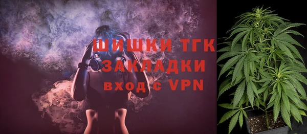 PSILOCYBIN Белокуриха