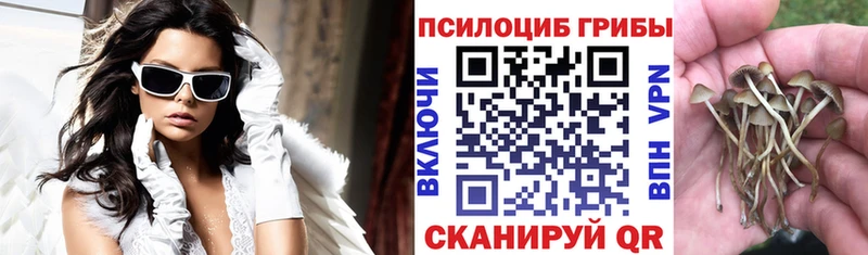 Галлюциногенные грибы прущие грибы  закладка  Мышкин 